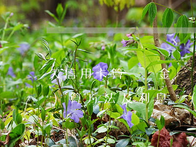 欠信用卡算違約金嗎？計(jì)算方法及利息說(shuō)明